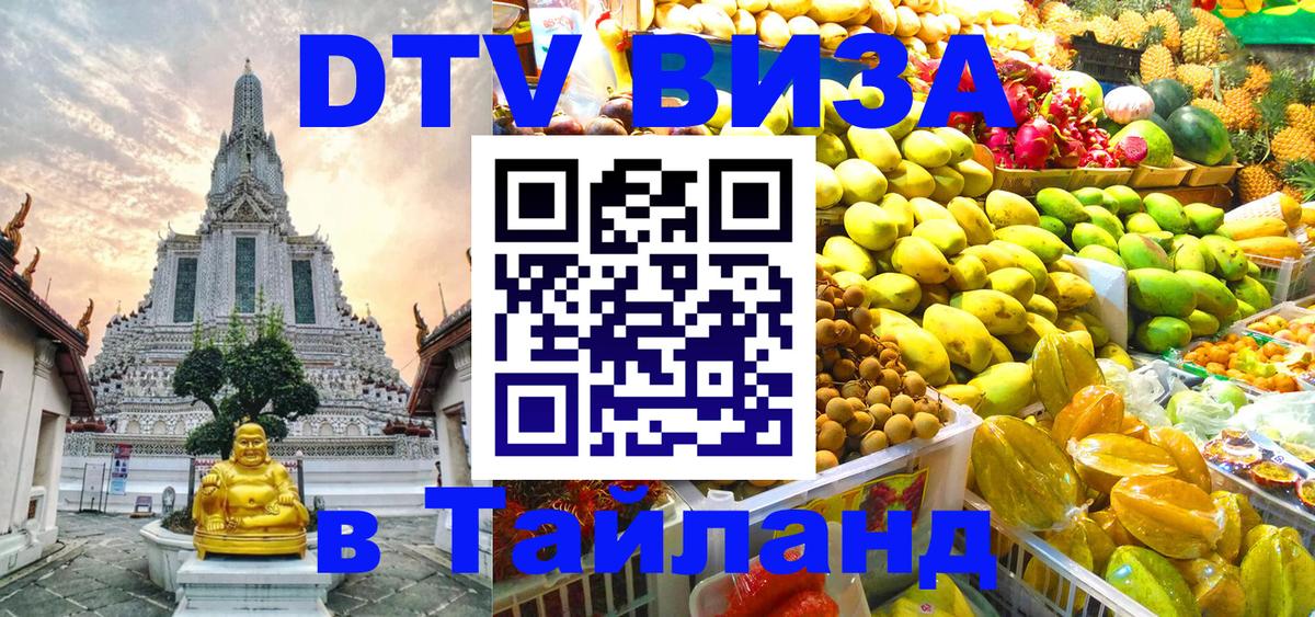 Сколько стоит DTV виза — актуальные цены, оформление даже без документов - Нью-Дели 